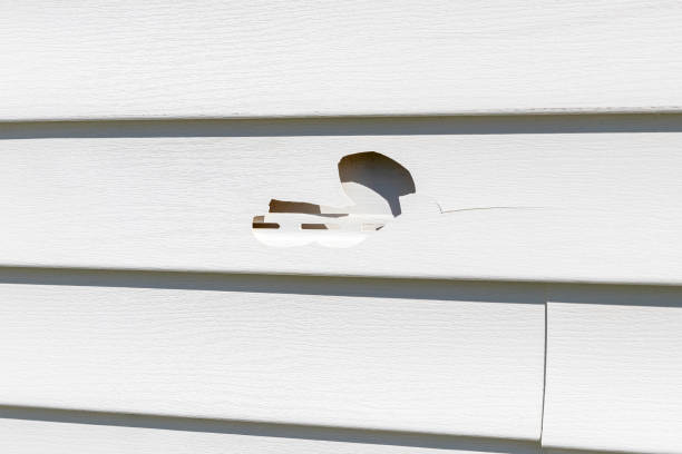 Best Insulated Siding Installation  in Highland, AR