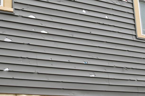 Best Siding Painting and Refinishing  in Highland, AR