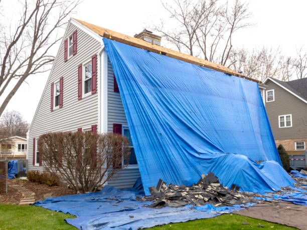 Best Historical Building Siding Restoration  in Highland, AR